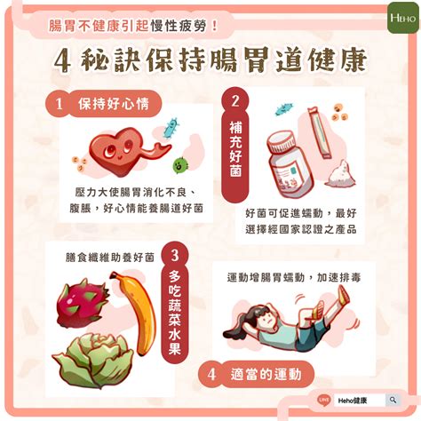 腸胃差|腸胃不好怎麼改善？輕忽可能影響健康！5種腸胃改善。